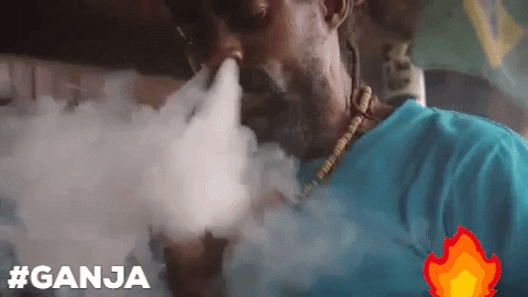 Smoke Weed GIF by Reggaeville.com - Find & Share on GIPHY
