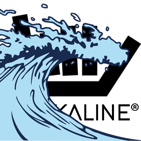 Skate Surf Sticker by Shakaline Official