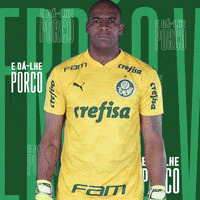 Puma Looking GIF by SE Palmeiras