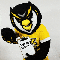 Owls Alumni GIF by Kennesaw State University