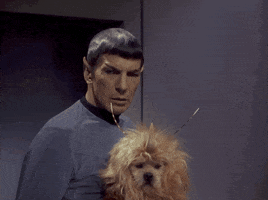 Confused Dog GIF by Star Trek