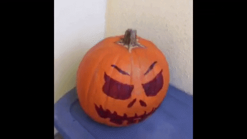 The Great Pumpkin GIFs - Find & Share on GIPHY