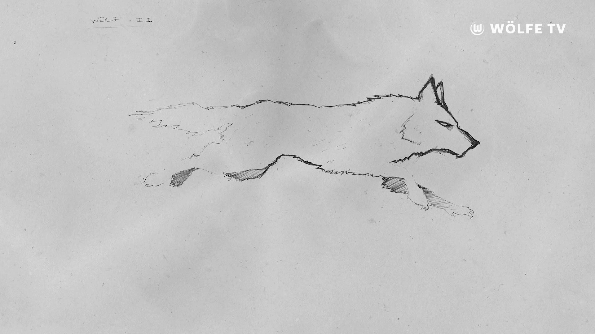 Soccer Bundesliga GIF by VfL Wolfsburg - Find & Share on GIPHY