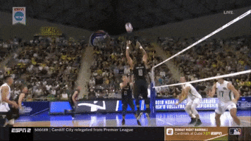 volleyball 49ers GIF by NCAA Championships