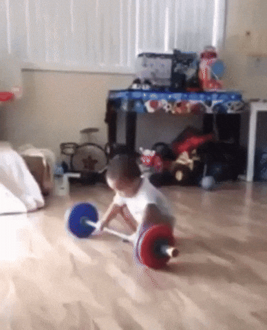 giphy.gif