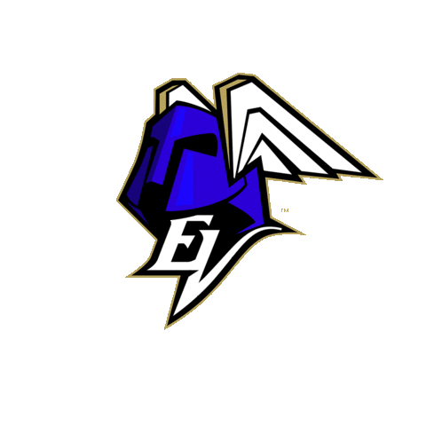 Floorball Salibandy Sticker by EräViikingit