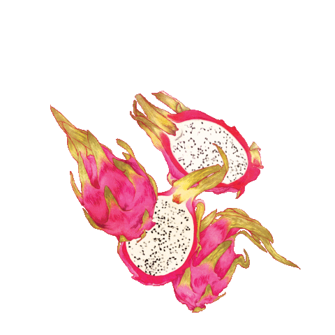 Fun Sticker