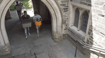 Princeton college move stranger things moving GIF