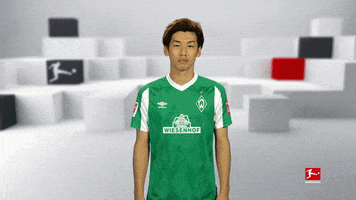 Werder Bremen Yes GIF by Bundesliga