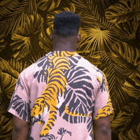 Pittsburgh Steelers Football GIF by Microsoft Surface