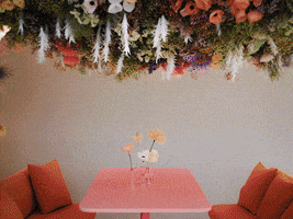 GIF by Studiolabo