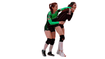 Team Love Sticker by Volleyball Federation of Podolsk