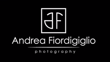 Photo Studio GIF by AndreaFiordigiglio