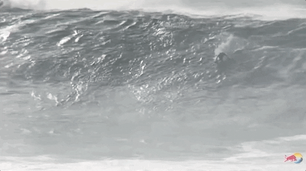 Big Wave Surfing Surf GIF by MOODMAN - Find & Share on GIPHY