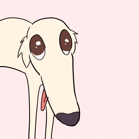 animated dog gif