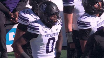 Watching College Football GIF by Northwestern Athletics