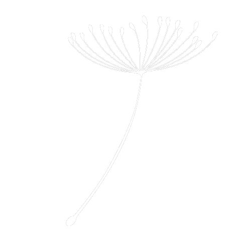 Dandelion Sticker
