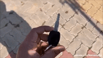 Driving Lets Go GIF by Namaste Car