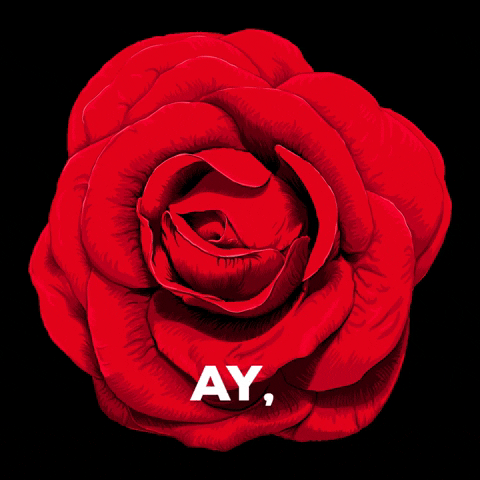 baileflamencoonline GIF