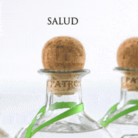 Cheers Salud GIF by Patrón Tequila