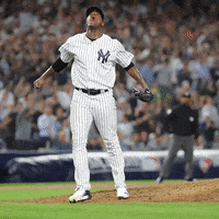 Voit All Rise GIF by Bronx Pinstripes