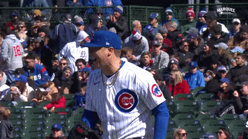 Cubs Steele GIF by Marquee Sports Network