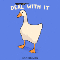 Wild-goose-dreams GIFs - Get the best GIF on GIPHY