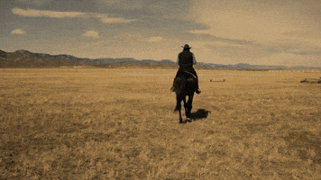 Horse Cowboy GIF by Cardinal Group Management