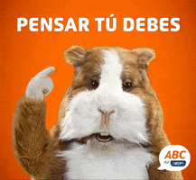 cuysejo abcdelbcp GIF by BCP
