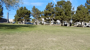 200.gif