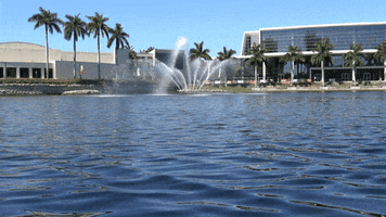 the u lake osceola GIF by Miami Hurricanes