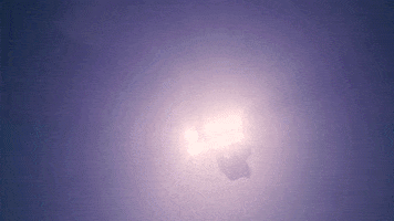 Spiderman GIF