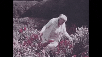 usnationalarchives flowers mothers day gardening archives GIF