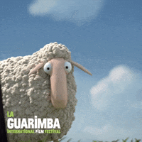 Whats Happening What GIF by La Guarimba Film Festival