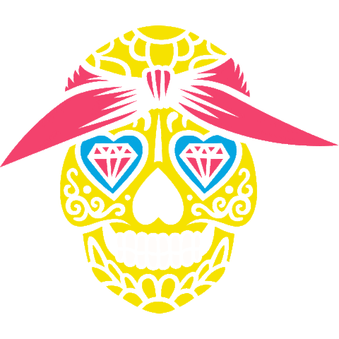 freerideacademypl Sticker