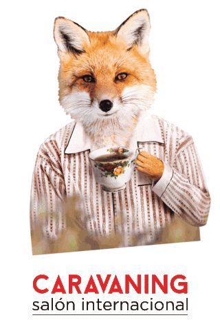 saloncaravaning Sticker