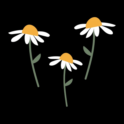 vieeitez illustration nature flower flowers GIF
