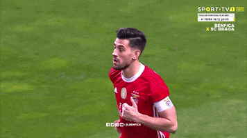 Sl Benfica Thumbs Up GIF by Sport Lisboa e Benfica