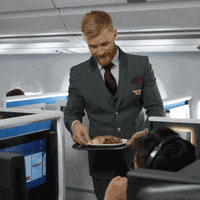 Flydelta Firstclass GIF by Delta Air Lines