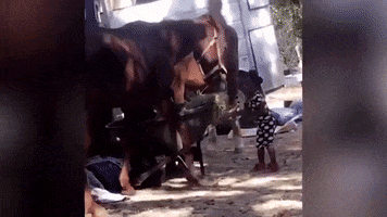 Run Away GIF