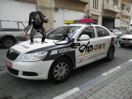 200.gif?cid=fc005b0843c996218214ad2b6d1da6aac4a8d6086e0dc572&rid=200.gif&ct=g
