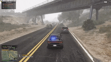 Fivem GIF