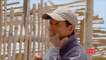 No Problem Np GIF by TLC