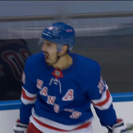 Go-bruins GIFs - Get the best GIF on GIPHY