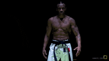 sport fighter GIF by Karate Combat