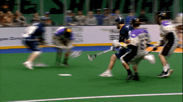 New York Hit GIF by New York Riptide