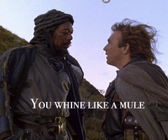 Robin Hood Whine GIF