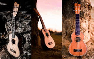 Musicero Warehouse GIF