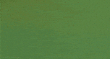 ocean landscape GIF by Head Like an Orange