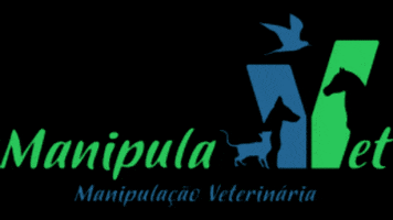 Manipulavetoficial GIF
